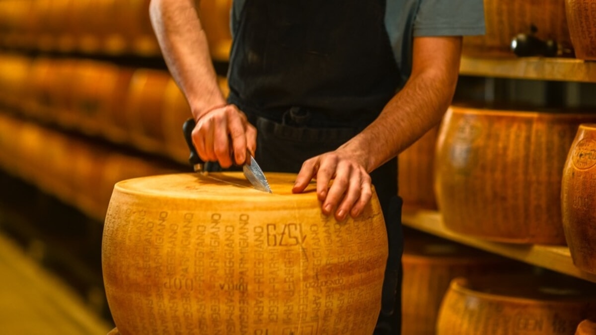 COSTRUIRE ECONOMIA E LAVORO